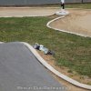 IMG_0137
